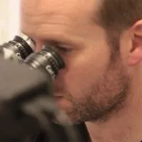 periodontics microscope